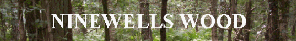 ninewells banner2